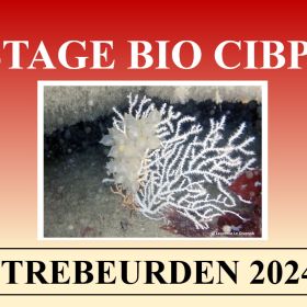 Image du stage bio Trébeurden 2024