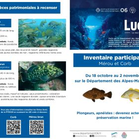 Opération LUCIA du 06 - 1 sur 2