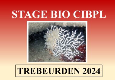 Image du stage bio Trébeurden 2024