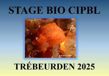 Stage bio à Trébeurden en juillet 2025