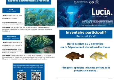 Opération LUCIA du 06 - 1 sur 2