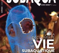 HS1 Subaqua V7 de décembre 2024