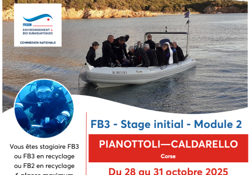 Bandeau stage FB3