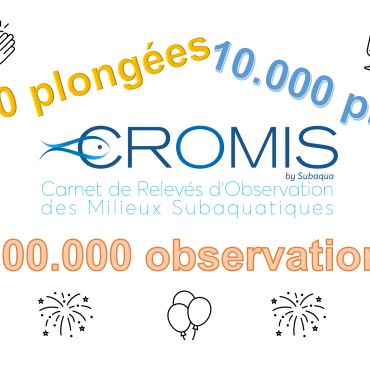 100.000 observations CROMIS