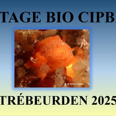 Stage bio à Trébeurden en juillet 2025