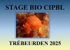 Stage bio à Trébeurden en juillet 2025