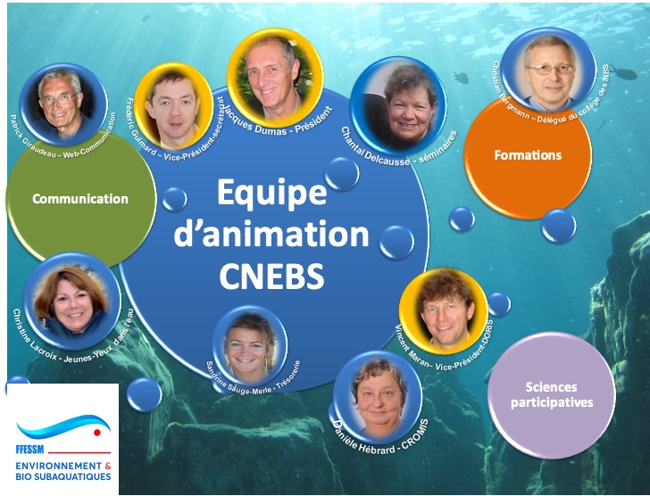 Equipe d'animation de la CNEBS Version mai 2020