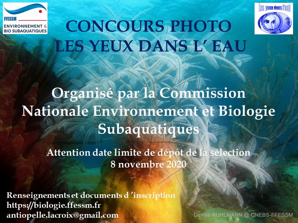 Affiche d'annonce de LYDLE 2020