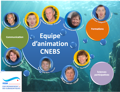 Equipe d'animation CNEBS 11 2020