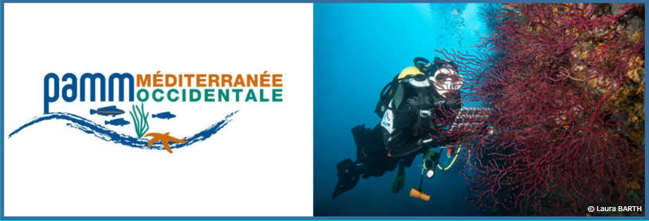 Logo PAMM Méditerranée