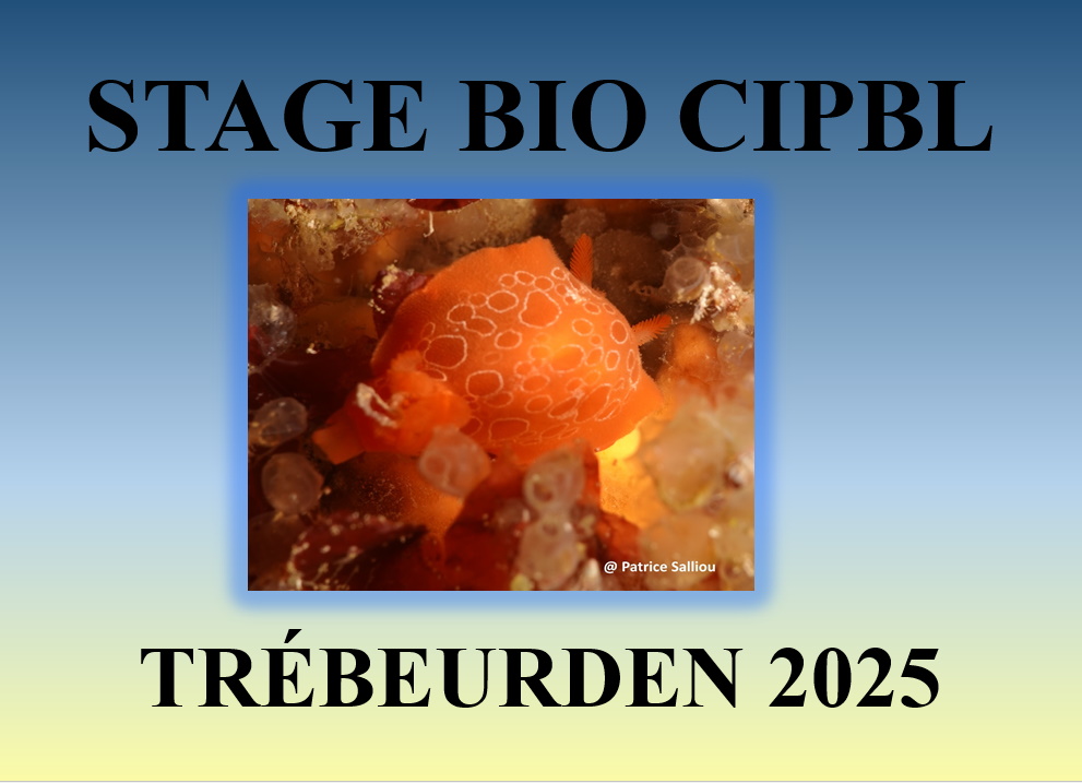 Stage bio à Trébeurden en juillet 2025