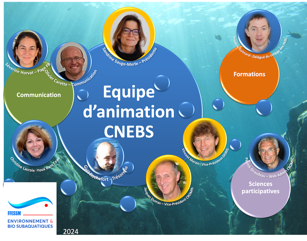 Equipe CNEBS depuis 12 2024